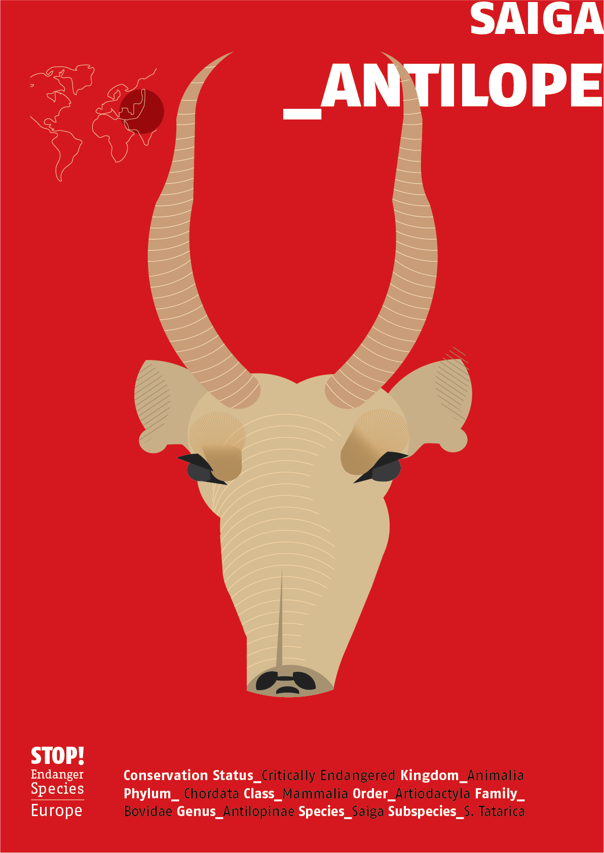 Saiga Antilope Poster