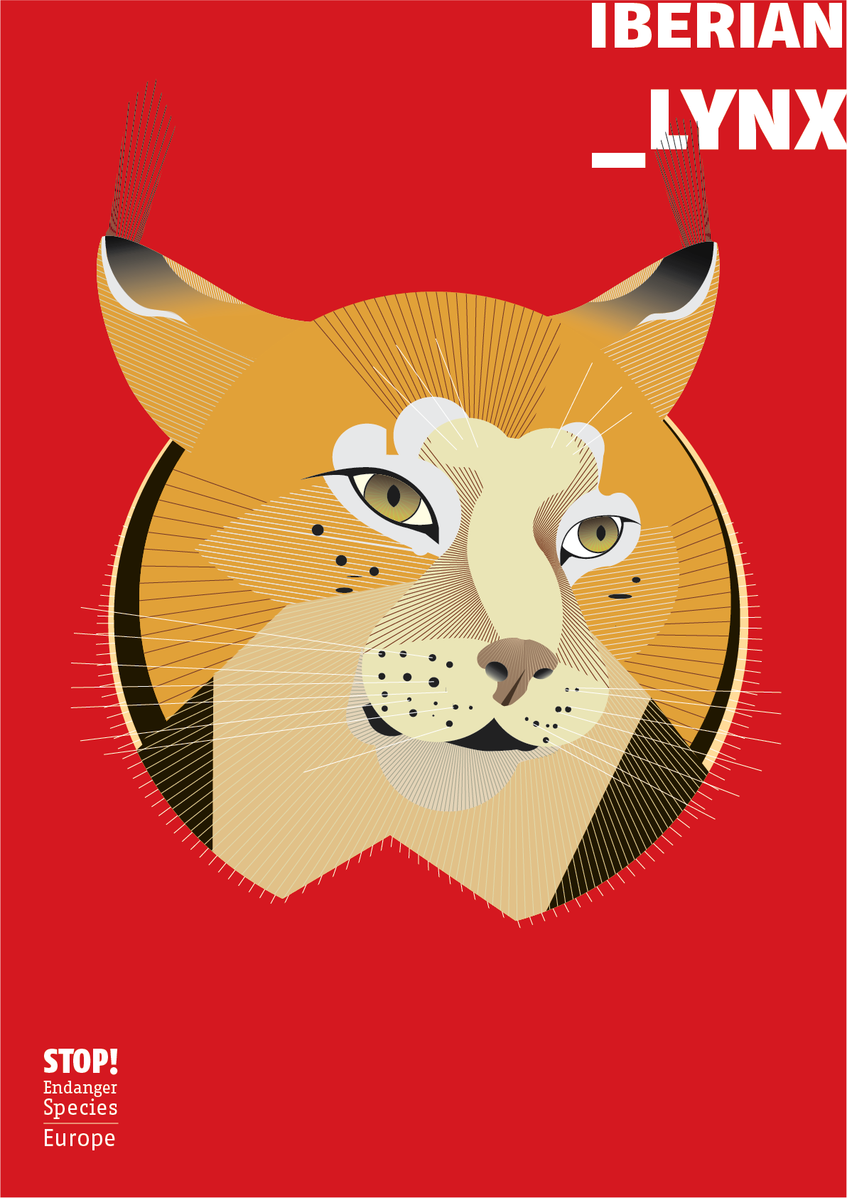 Iberian Lynx Poster